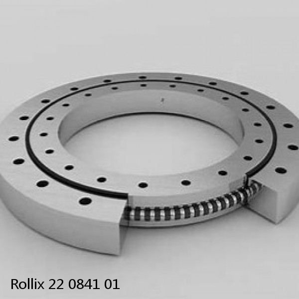 22 0841 01 Rollix Slewing Ring Bearings