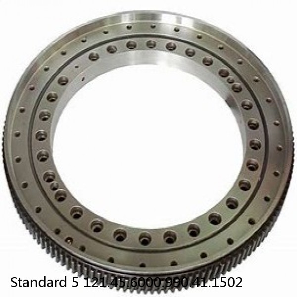 121.45.6000.990.41.1502 Standard 5 Slewing Ring Bearings