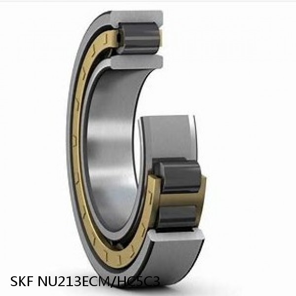 NU213ECM/HC5C3 SKF Hybrid Cylindrical Roller Bearings #1 small image