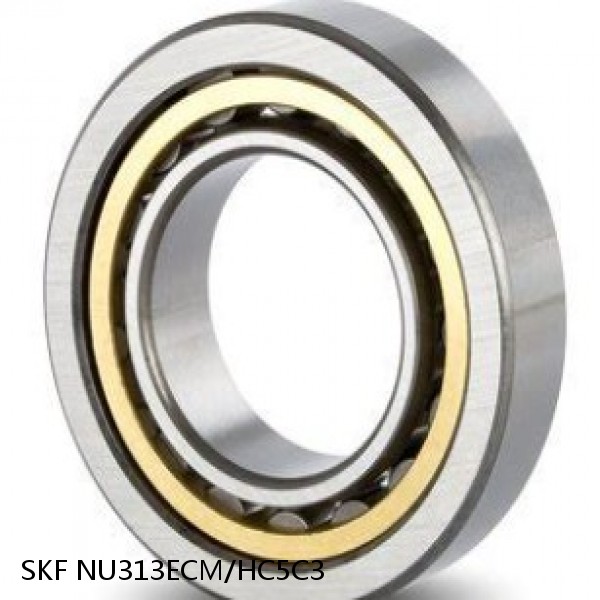 NU313ECM/HC5C3 SKF Hybrid Cylindrical Roller Bearings #1 small image