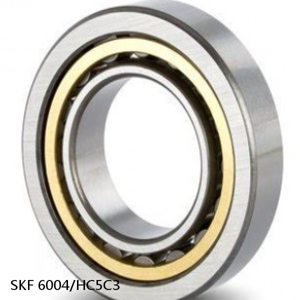 6004/HC5C3 SKF Hybrid Deep Groove Ball Bearings #1 image