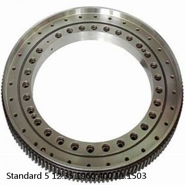 12.35.1960.400.11.1503 Standard 5 Slewing Ring Bearings #1 image