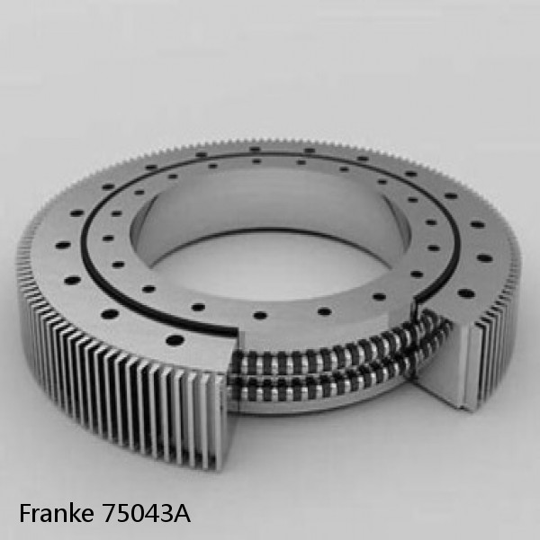 75043A Franke Slewing Ring Bearings #1 image