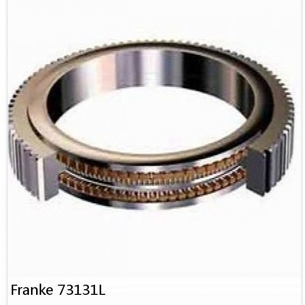 73131L Franke Slewing Ring Bearings #1 image